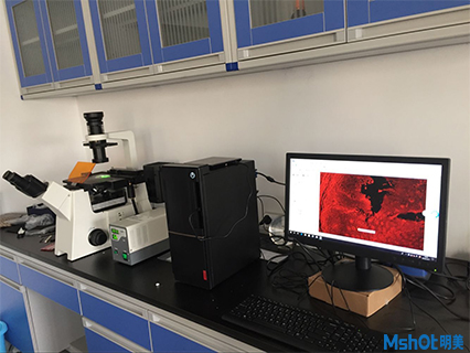 倒置荧光显微镜助力中国物理研究所材料检测