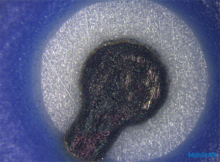 金相显微镜下的生物芯片