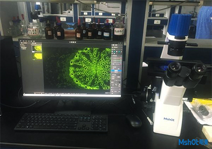 明美荧光显微镜应用于学校公共平台实验室