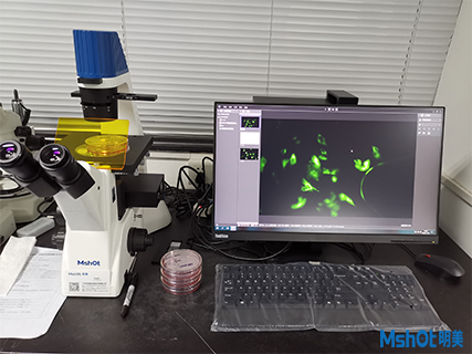 >安装日志|明美倒置荧光显微镜走进中南大学湘雅医学院