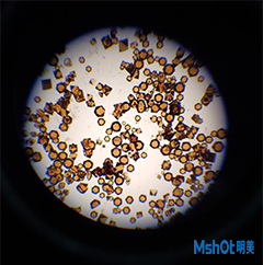 明美偏光显微镜应用于晶体观察