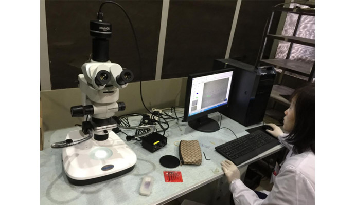 体视荧光显微镜应用于心血管研究