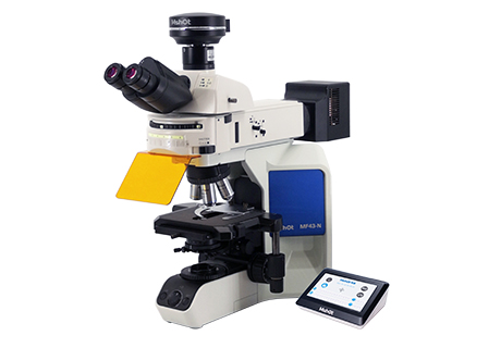 荧光显微镜MF43-N