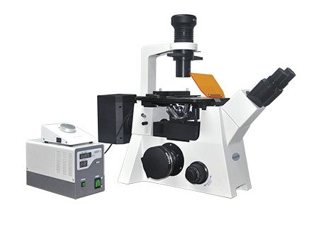 熒光顯微鏡 MF53