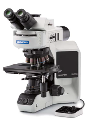 奥林巴斯金相显微镜BX53M