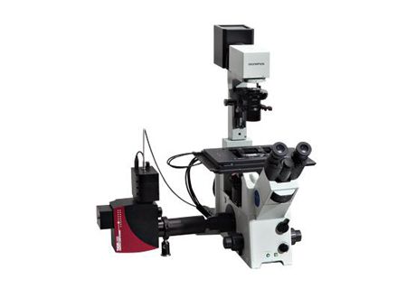 Thorlabs共聚焦显微镜系统