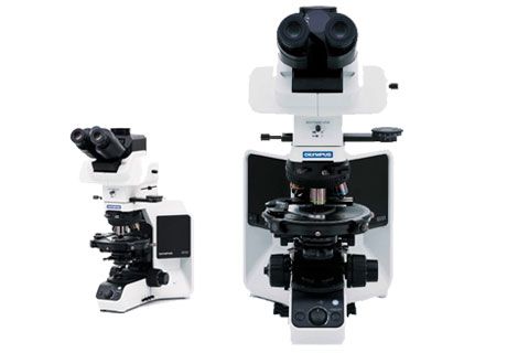 奥林巴斯偏光显微镜BX53