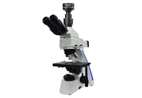 荧光显微镜MF31