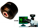 显微镜CCD摄像头