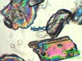 显微镜下的矿石