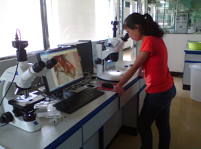 明美显微镜&摄像头用于湖南出入境检验检疫局
