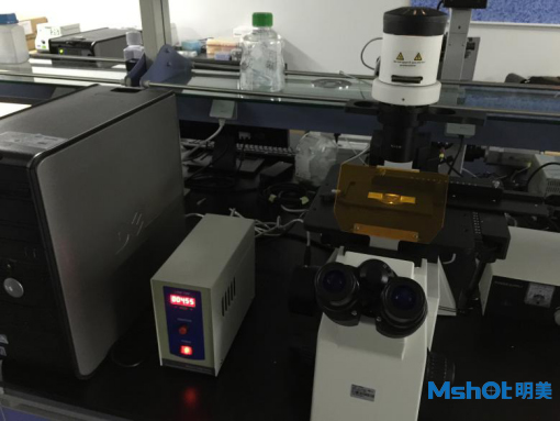 明美研究级倒置荧光显微镜MF53搭配研究级显微数字相机MSX2用于实验室筛选