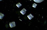 食盐晶体显微图片