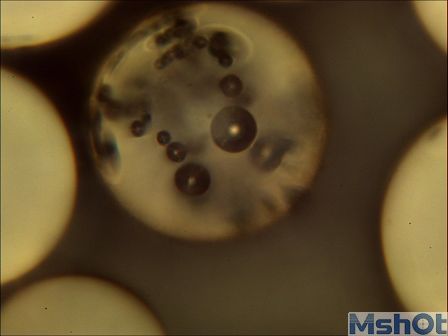 反光材料 显微镜检测