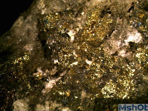 金相显微镜下的矿石