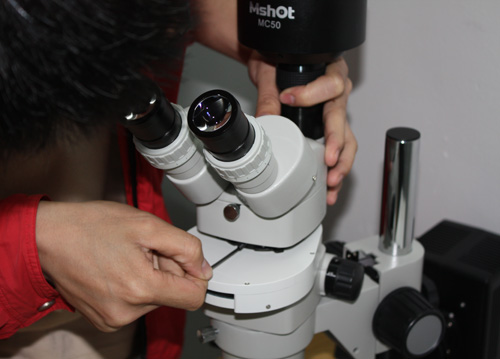 体视荧光显微镜