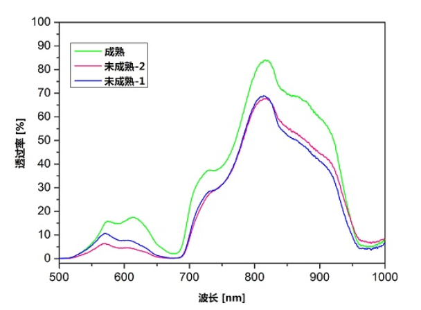 光纤光谱仪在水果成熟度分选的应用