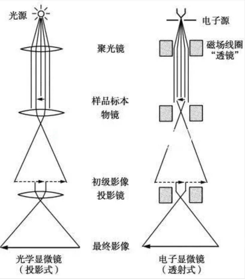 明美和您一起从诺奖看