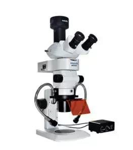 体式荧光显微镜MZX81