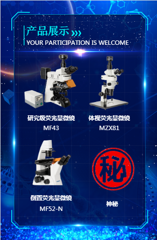 热销产品