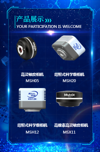 热销产品