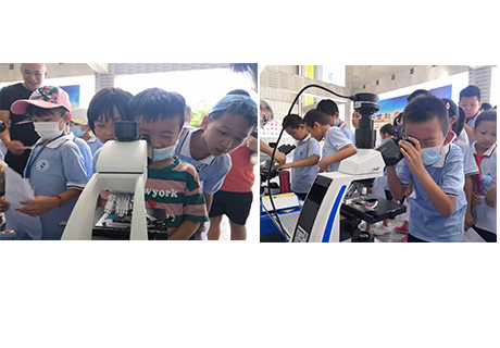 前进小学