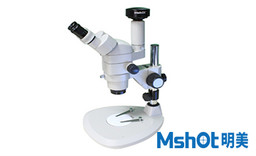 体视显微镜MZ81