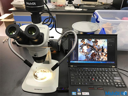 明美新款显微镜相机助力厦门大学古代水稻和小米检测
