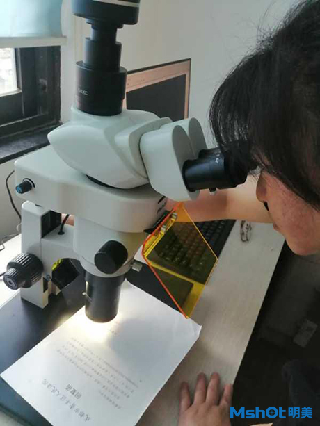 明美体视荧光显微镜应用于朱墨时序鉴定