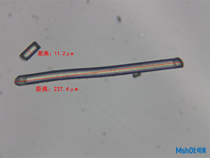 生物显微镜下的玻璃纤维