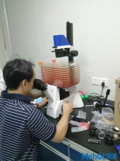 细胞工厂显微镜