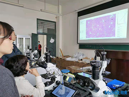 显微互动实验室生物教学