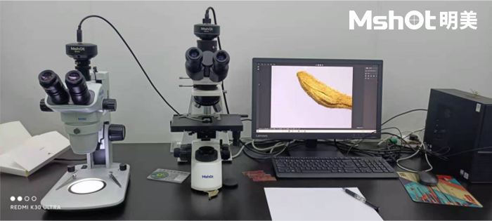 体视显微镜MZ62搭配显微镜相机拍摄的中药材