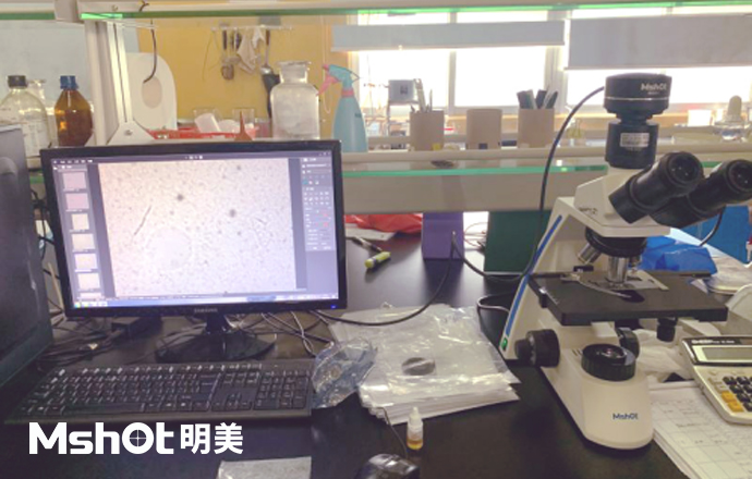 生物显微镜ML31