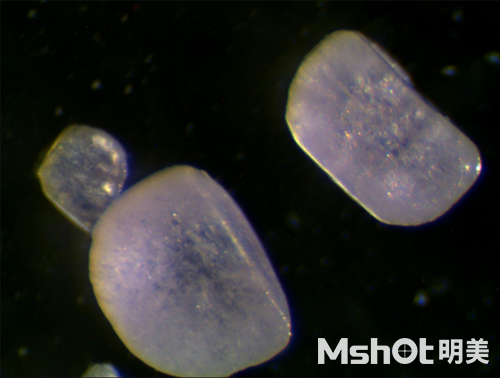 不同显微镜下的食盐