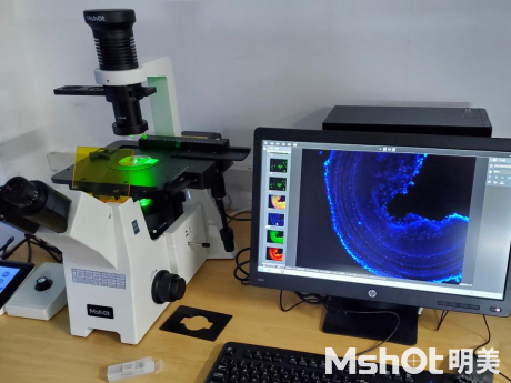 倒置荧光显微镜MF53-N
