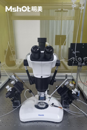 国产显微镜用于电生理