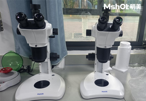 体视显微镜用于电生理领域