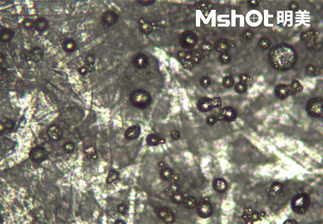 倒置金相显微镜用于观察金属微球
