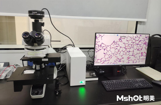 数字切片扫描仪应用于病理学