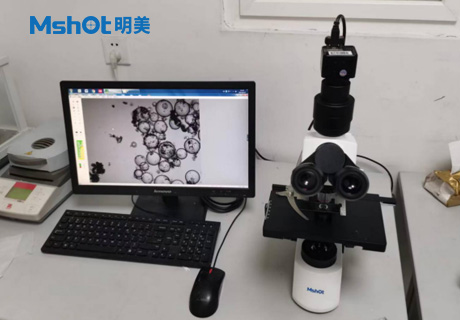 石墨烯用什么显微镜观察？