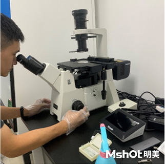 国产倒置荧光显微镜用于植物自发荧光检测
