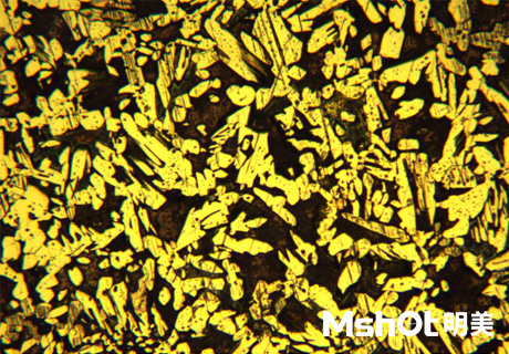 金属铜块在金相显微镜下长什么样子？