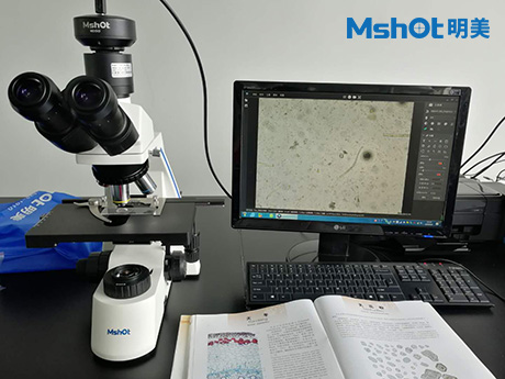 不同显微镜用于淀粉检测