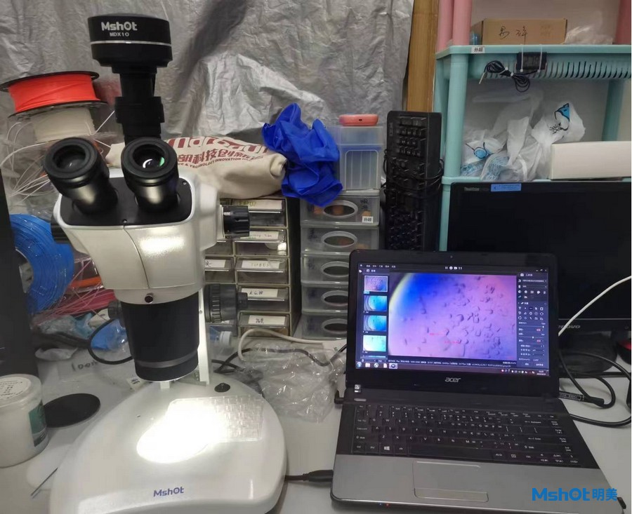 体视显微镜用于蛋白质晶体检测|应用百科