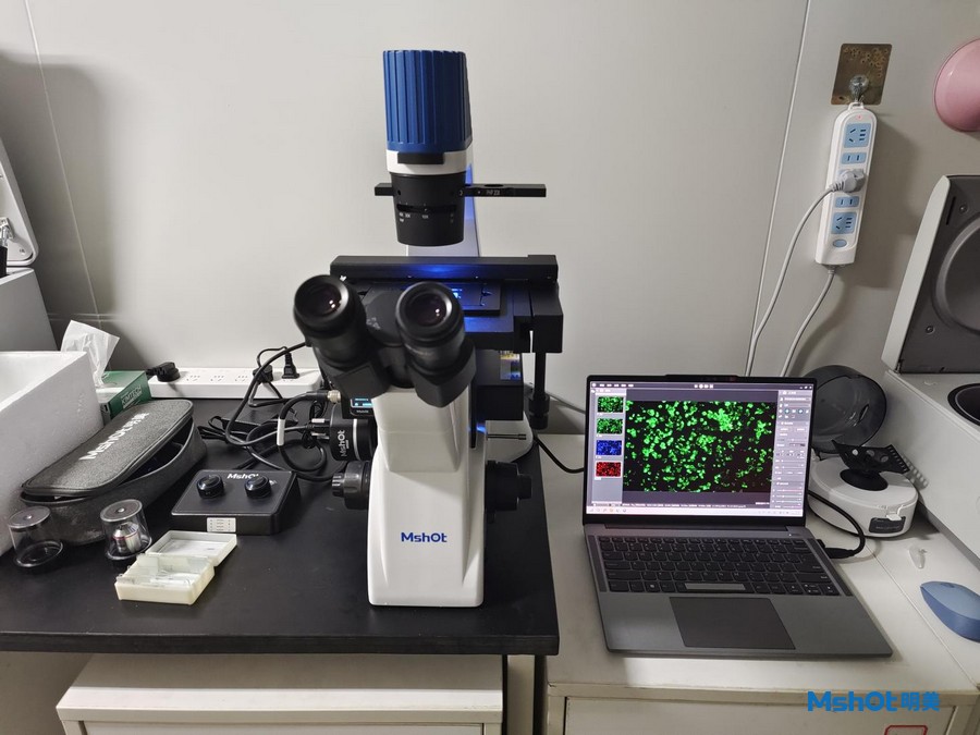 倒置荧光显微镜应用于细胞治疗|应用百科
