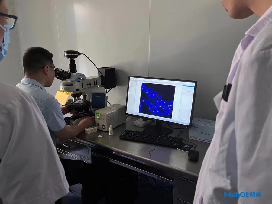 荧光生物显微镜应用于膀胱癌细胞观察|应用百科