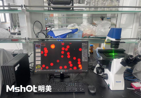 不同显微镜应用于材料学