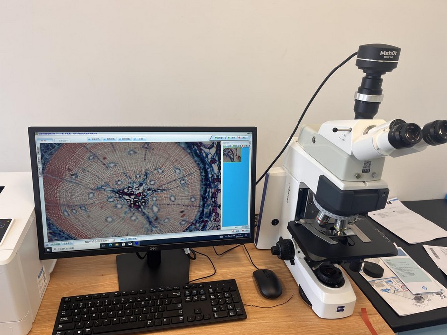 蔡司axioscope升级荧光生物显微镜|应用百科