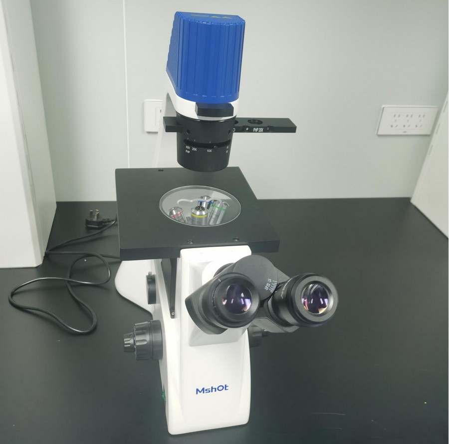 倒置显微镜应用于干细胞观察|应用百科